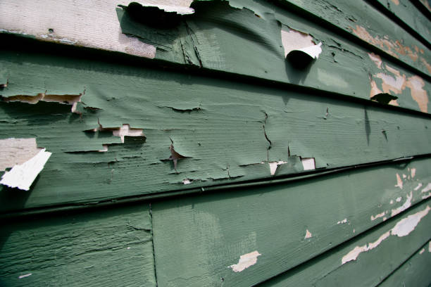 Storm Damage Siding Repair in East San Gabriel, CA